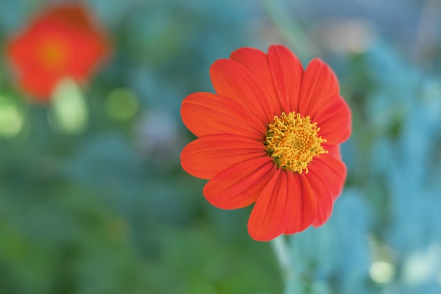 也是促成公 也是促成公