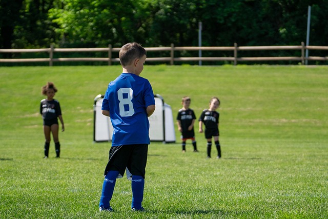 局的关键结 局的关键结