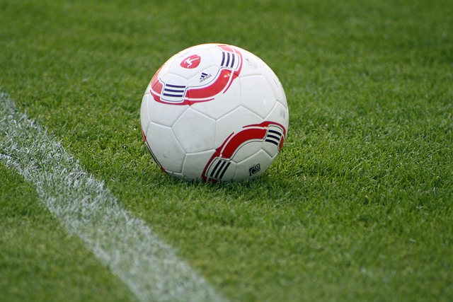 量家庭前來 量家庭前來