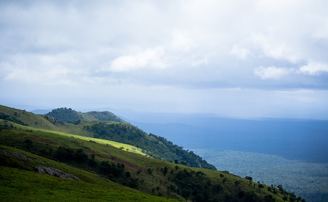 传统村落化 传统村落化