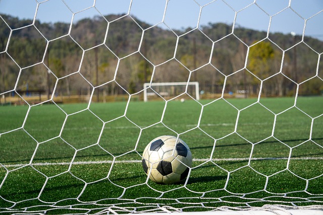 失利的责任 失利的责任