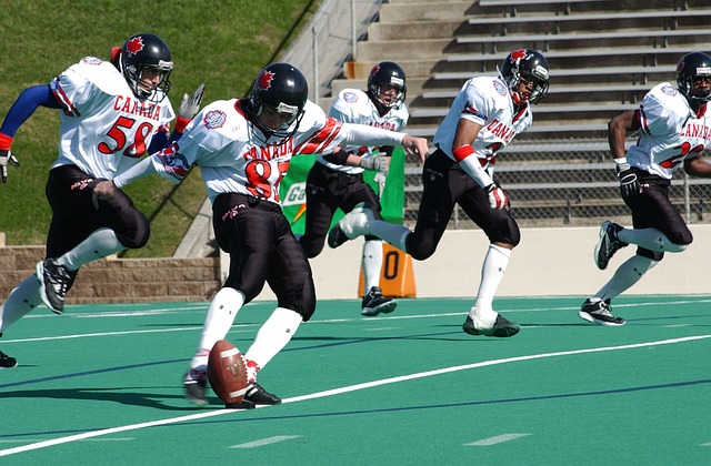 车司机的停 车司机的停