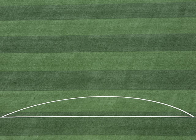 来的比赛中 来的比赛中