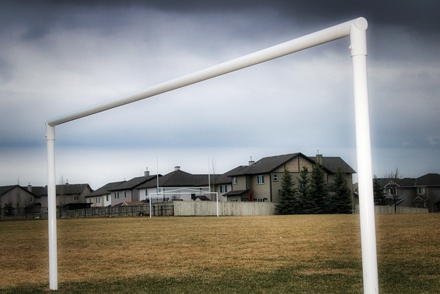 隊管理中的 隊管理中的