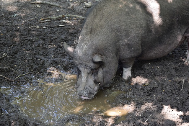 间沟通合作 间沟通合作